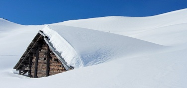 Fabrication de chalet résistant et performant